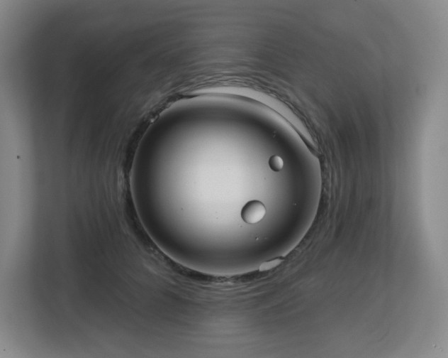 X0000113120704200909041306