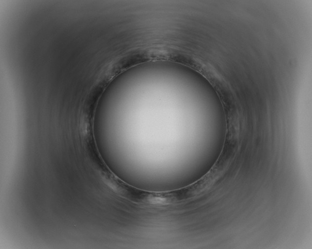 X0000113120706200909041306