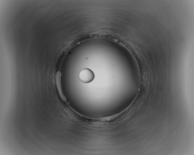 X0000113120708200909041306