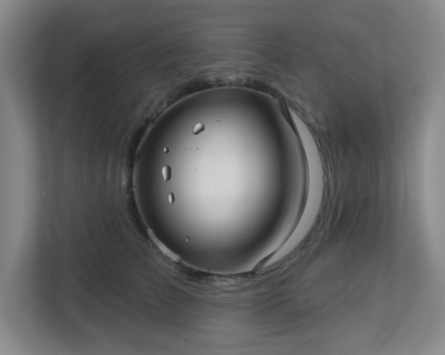 X0000113120709200909041306