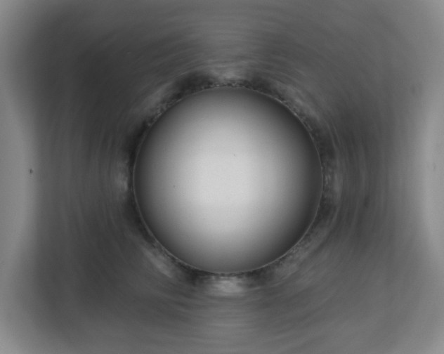 X0000113120710200909041306