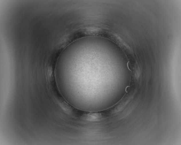 X0000113120711200909041306