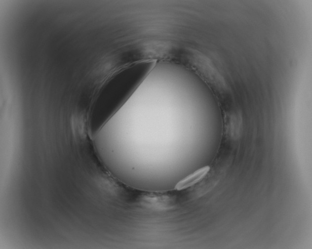 X0000113120712200909041306