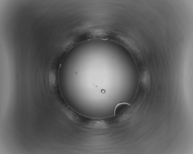 X0000113120715200909041306