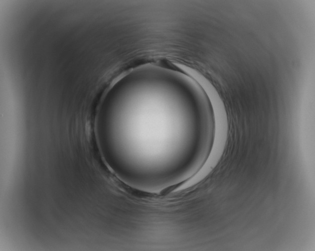 X0000113120716200909041306