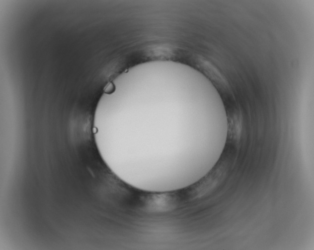 X0000113120717200909041306