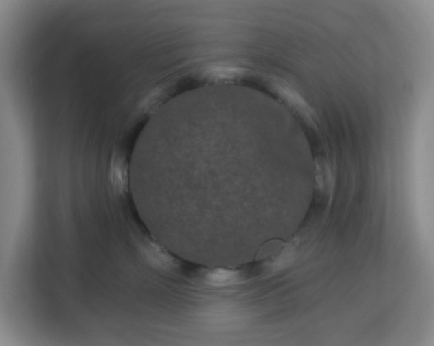 X0000113120718200909041306