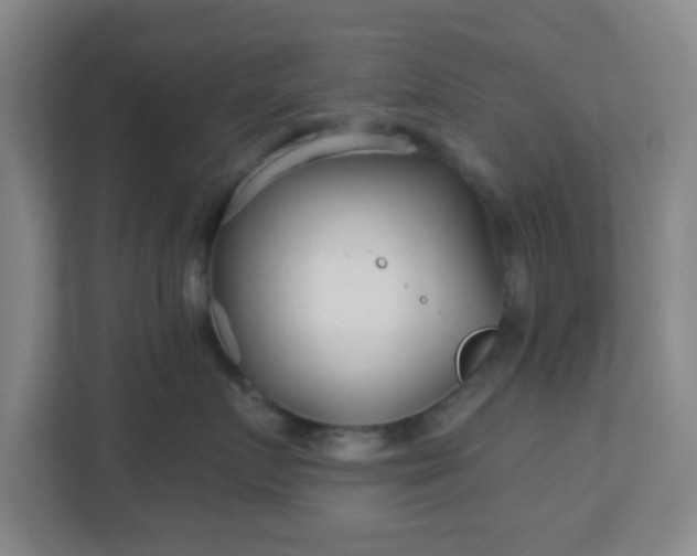 X0000113120719200909041306