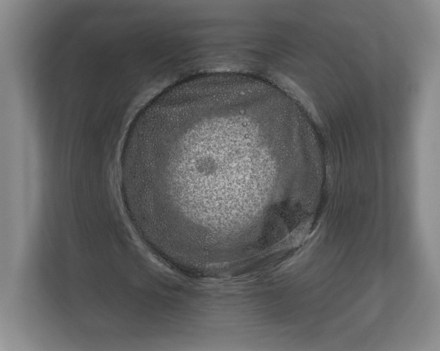 X0000113120721200909041305