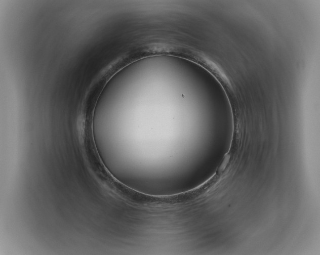 X0000113120722200909041305