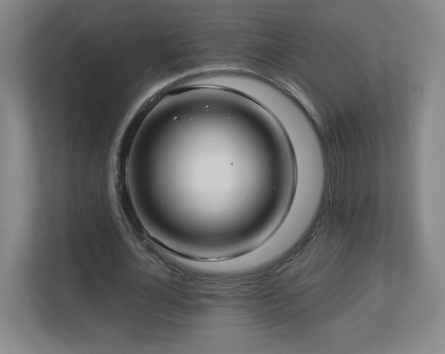 X0000113120724200909041305