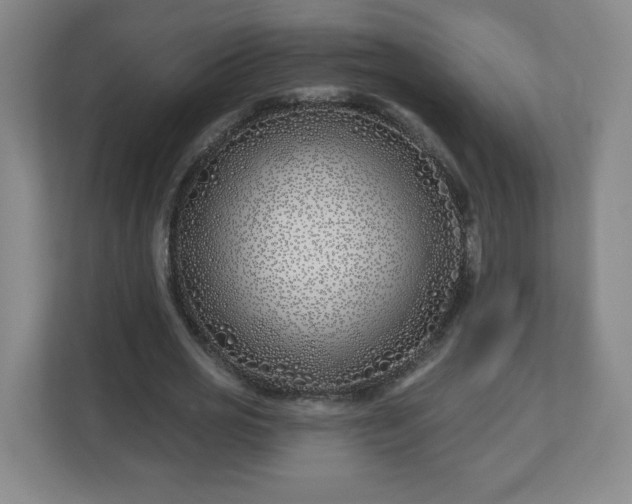 X0000113120725200909041305