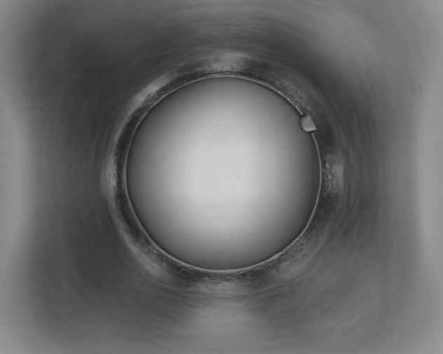 X0000113120726200909041305