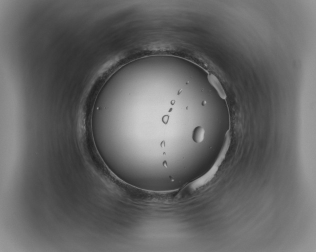 X0000113120727200909041305