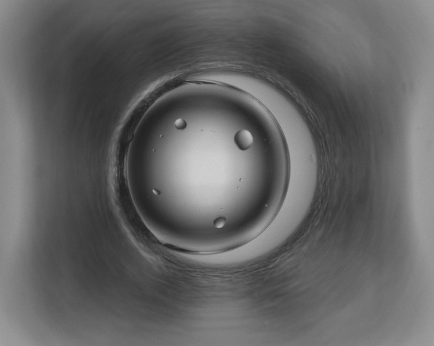 X0000113120728200909041305