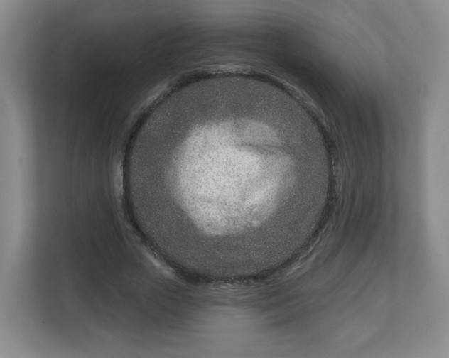 X0000113120729200909041305