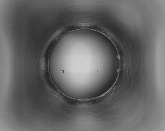 X0000113120731200909041305