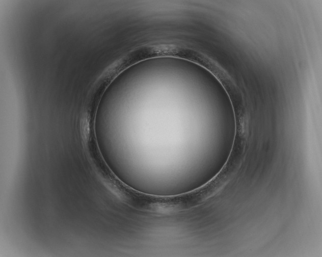 X0000113120733200909041305