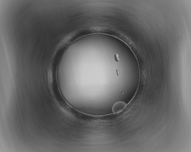 X0000113120734200909041305