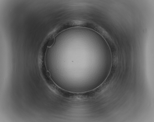 X0000113120736200909041305