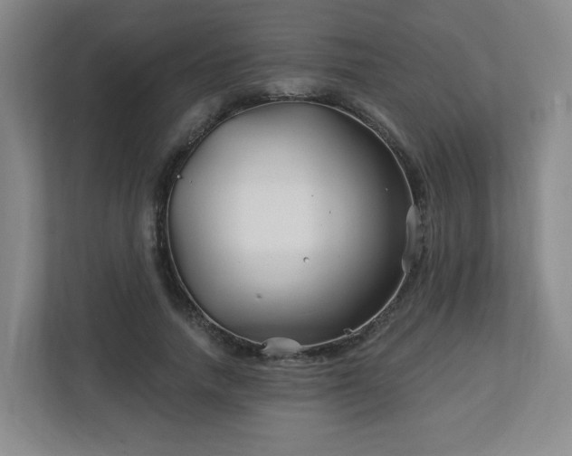 X0000113120738200909041305