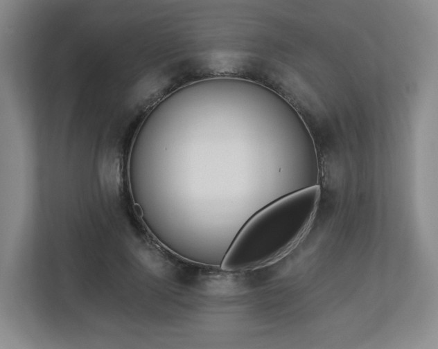 X0000113120740200909041305