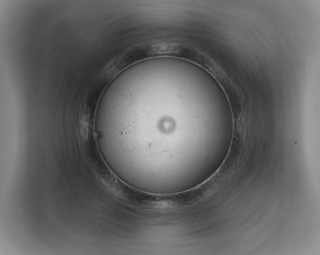 X0000113120741200909041305