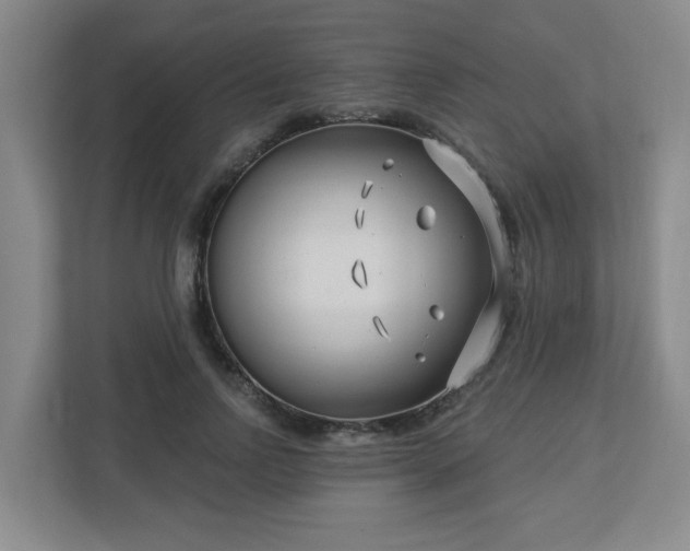 X0000113120742200909041305