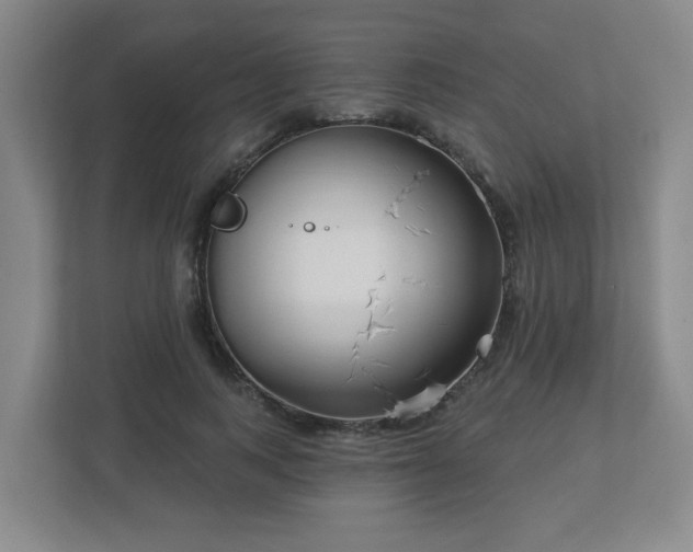 X0000113120743200909041305