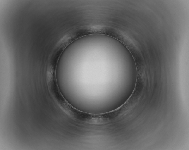 X0000113120744200909041305