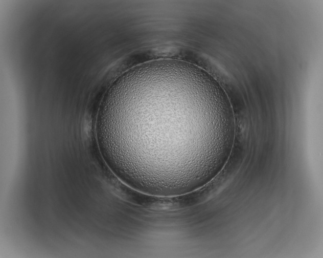 X0000113120745200909041305