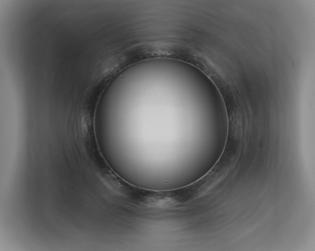 X0000113120747200909041305