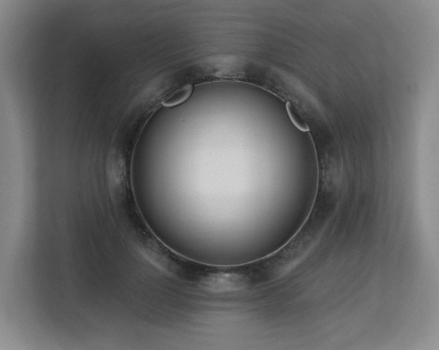 X0000113120748200909041305