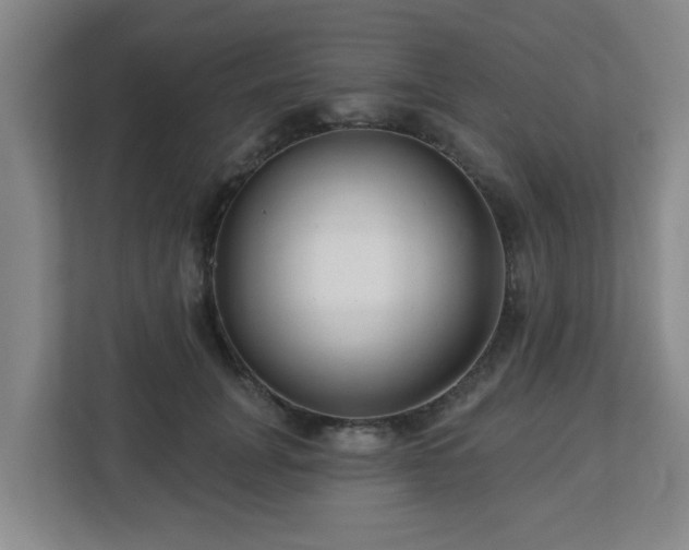 X0000113120751200909041306