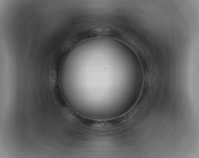 X0000113120752200909041306