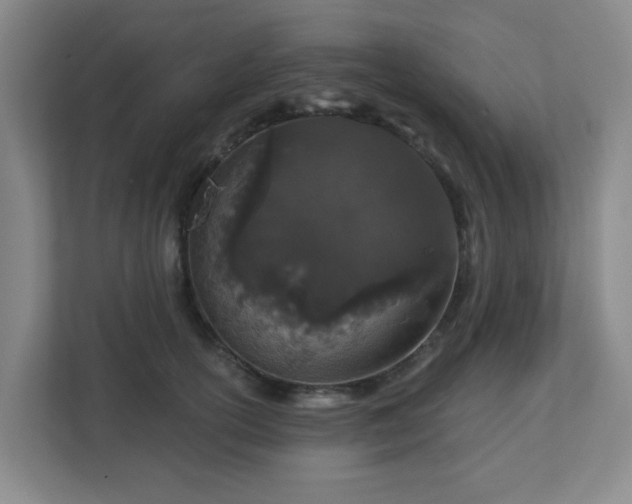 X0000113120754200909041306