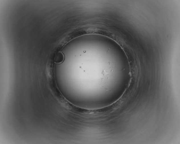 X0000113120755200909041306