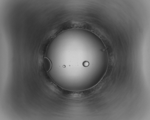 X0000113120756200909041306