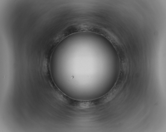 X0000113120757200909041306