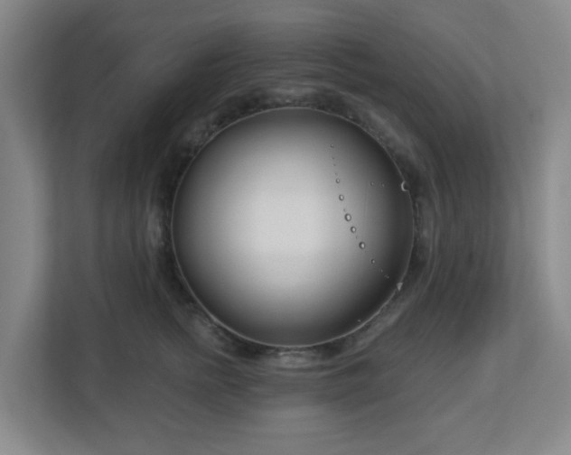 X0000113120758200909041306