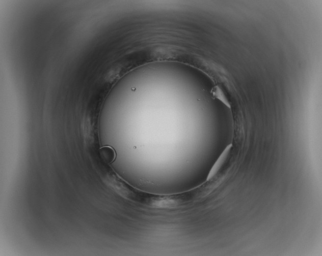 X0000113120759200909041306