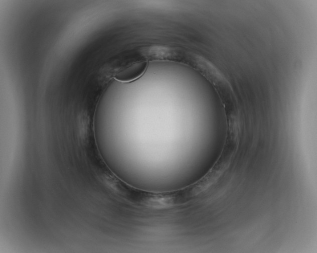 X0000113120760200909041306