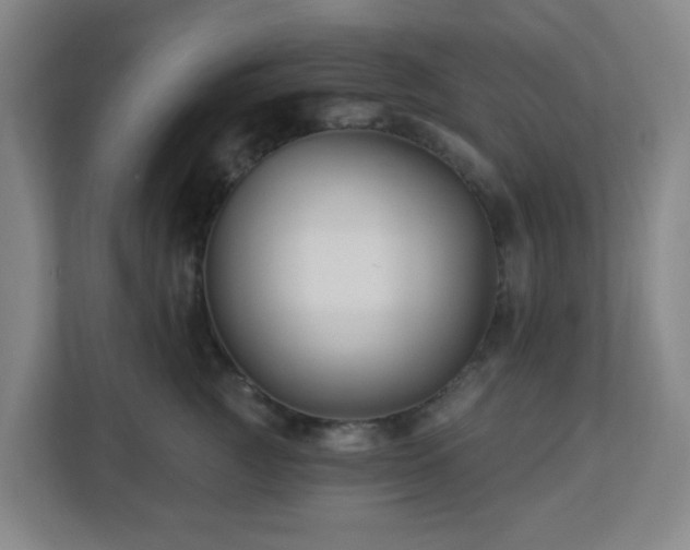 X0000113120761200909041306