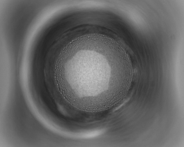 X0000113120765200909041306