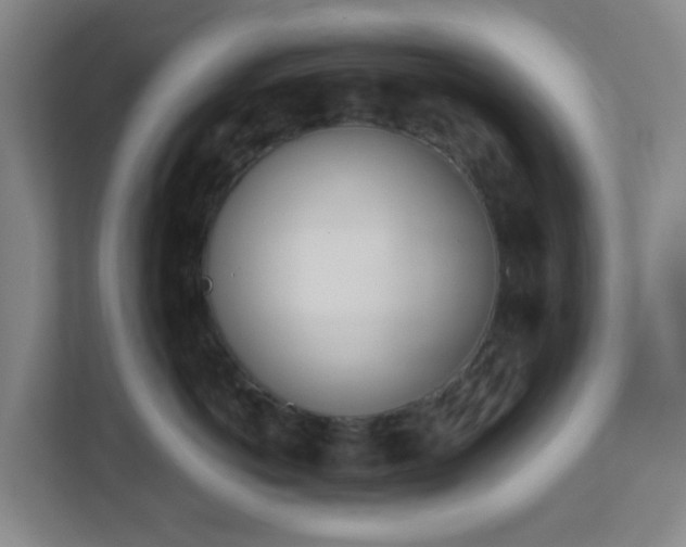 X0000113120766200909041306