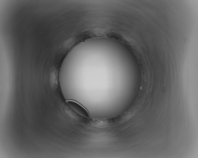 X0000113120768200909041306