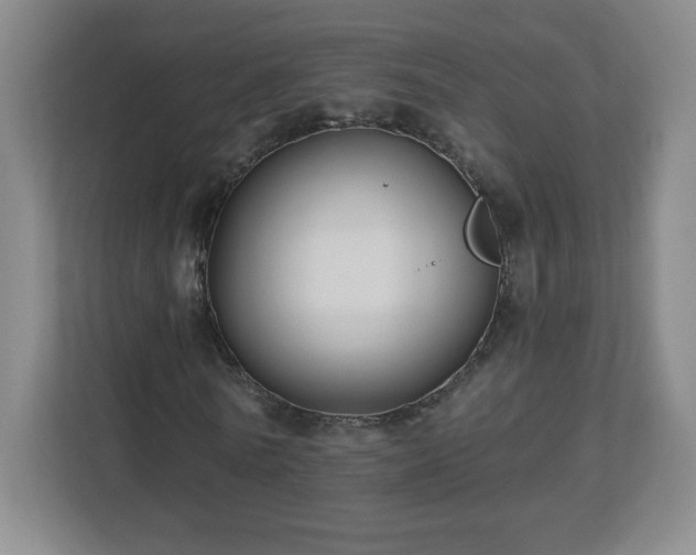 X0000113120770200909041305