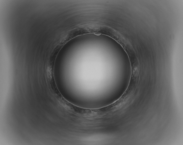 X0000113120772200909041305