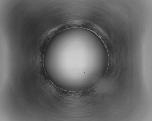 X0000113120773200909041305