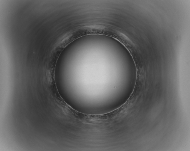 X0000113120774200909041305